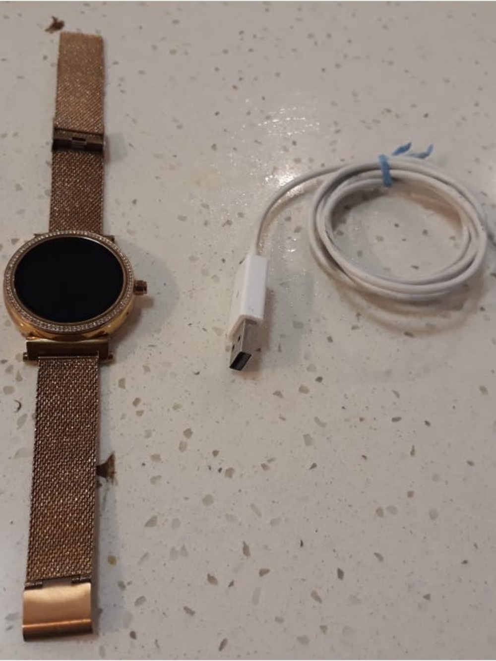 Google Rose Gold Smartwatch with Mesh Band